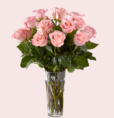 Classic Dozen Pink Roses