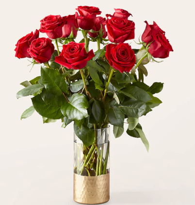 12 Red Loving Roses